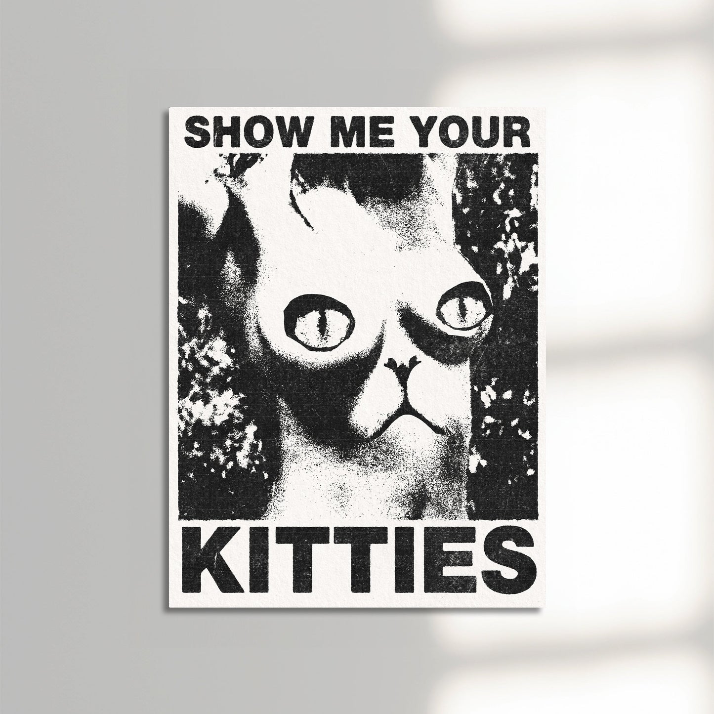 Show Me Your Kitties