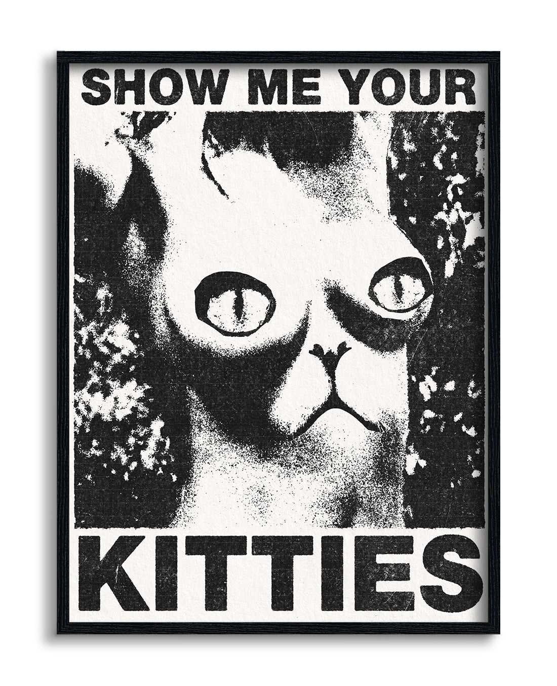 Show Me Your Kitties