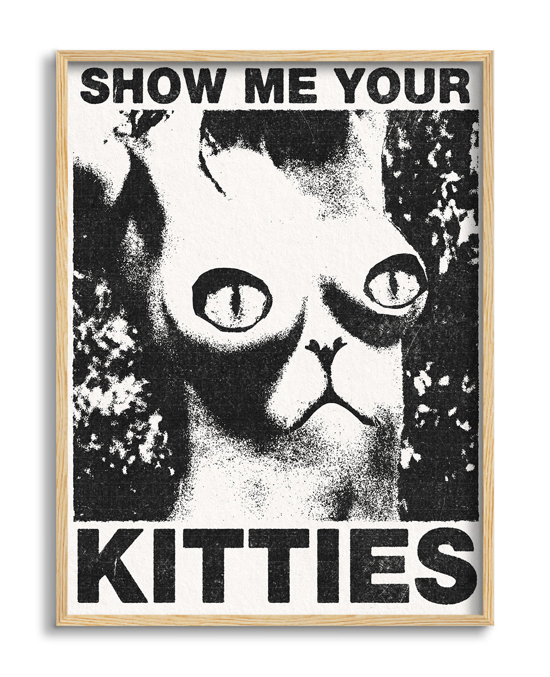 Show Me Your Kitties