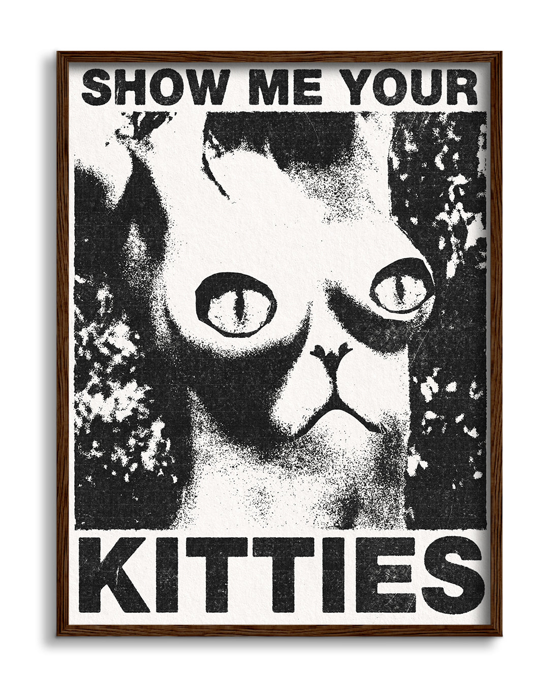 Show Me Your Kitties