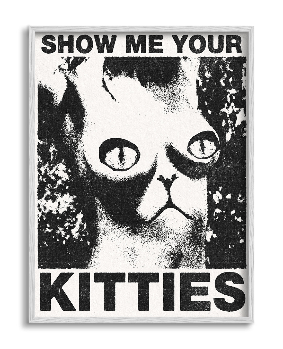 Show Me Your Kitties