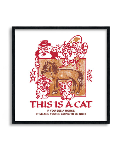 This Is A Cat