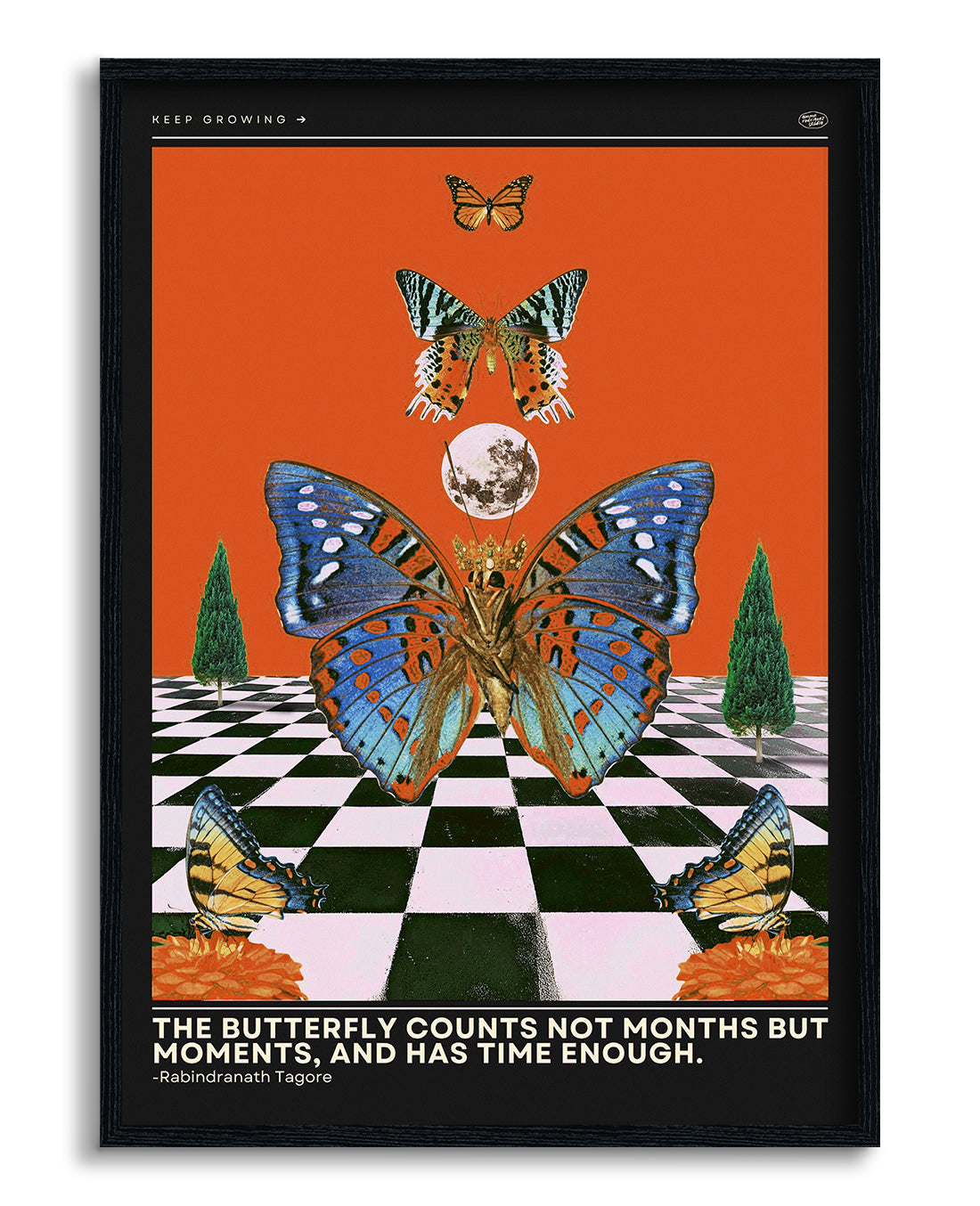 Butterfly Wall Art Poster