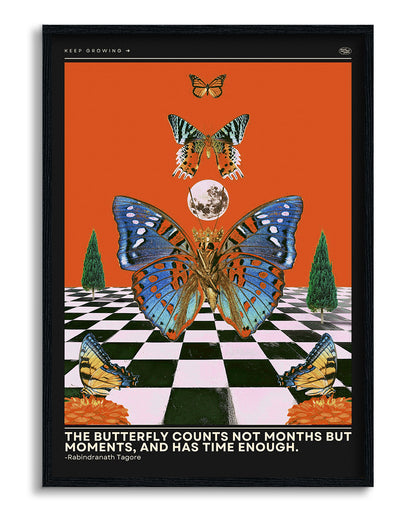 Butterfly Wall Art Poster