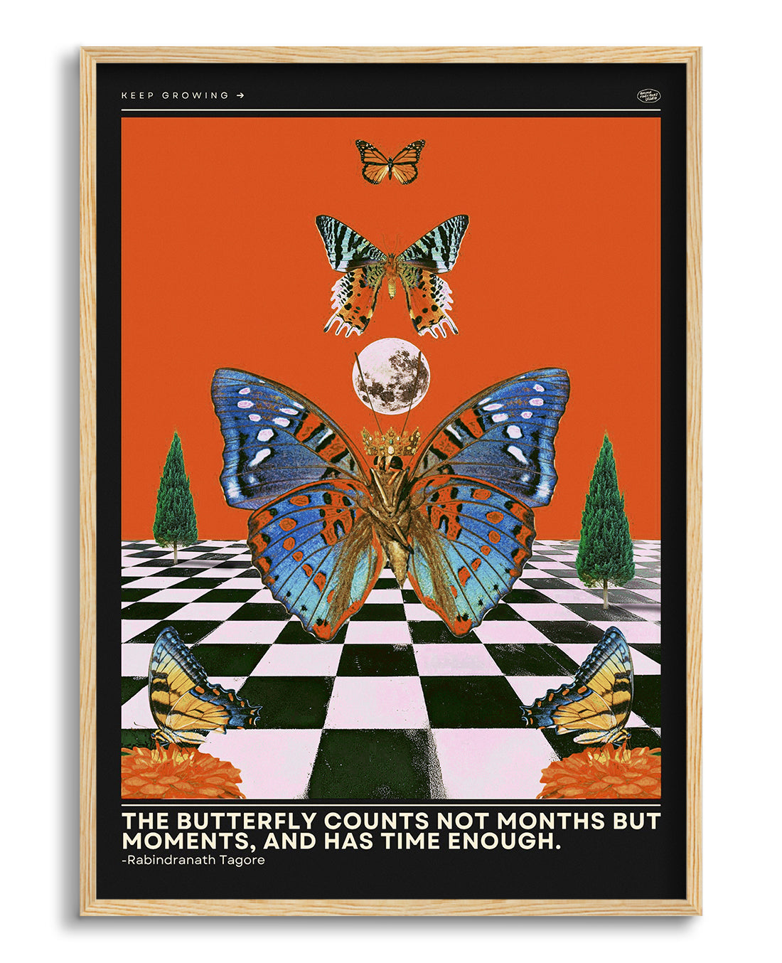 Butterfly Wall Art Poster