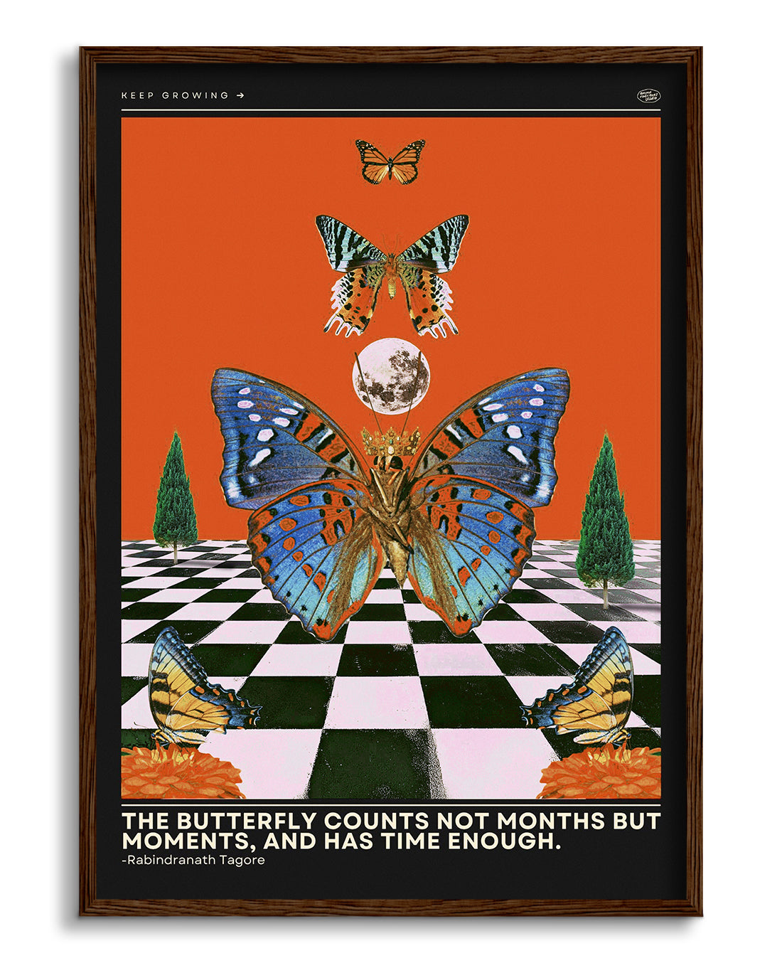 Butterfly Wall Art Poster