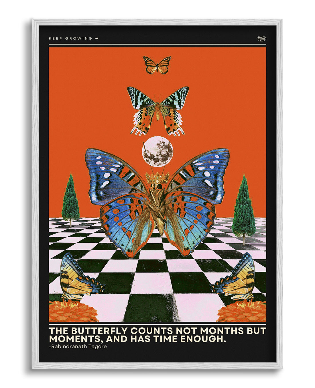 Butterfly Wall Art Poster
