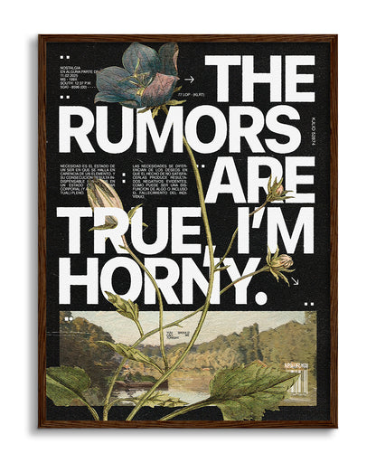 The Rumours Are True