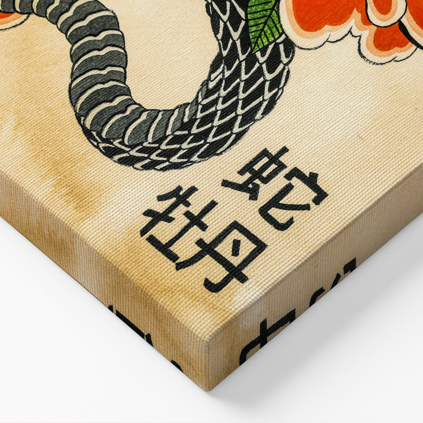 Snake & Peonies canvas